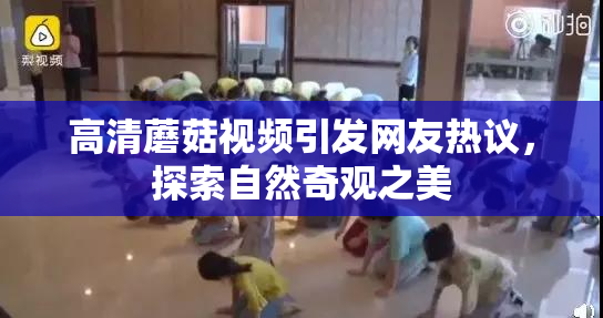 高清蘑菇视频引发网友热议，探索自然奇观之美