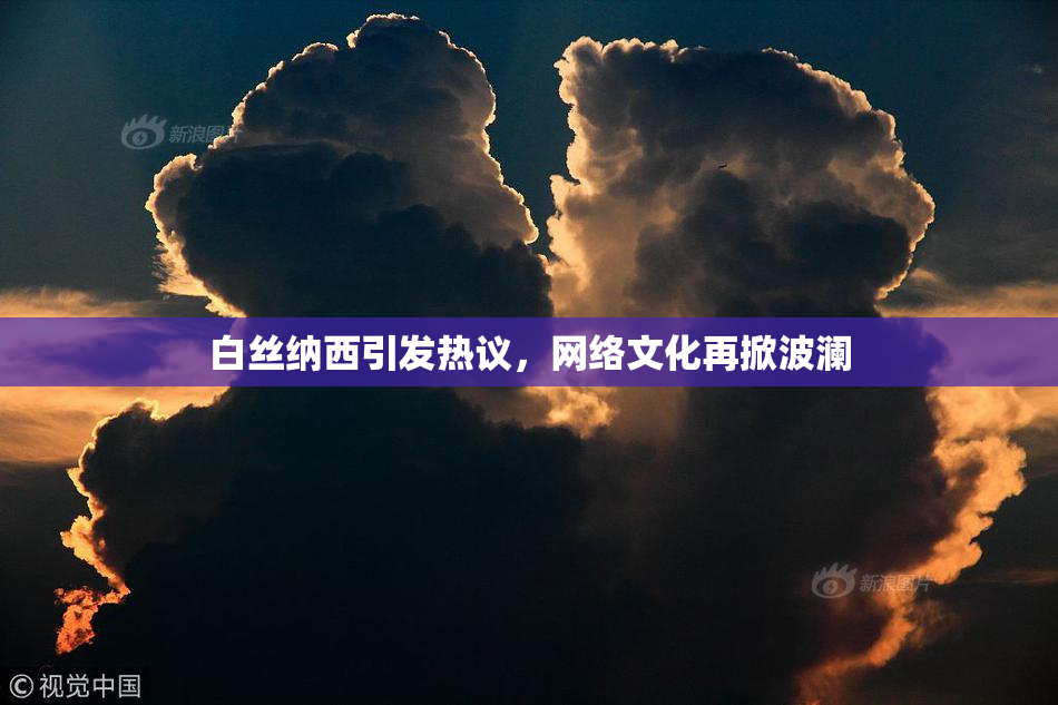 白丝纳西引发热议，网络文化再掀波澜