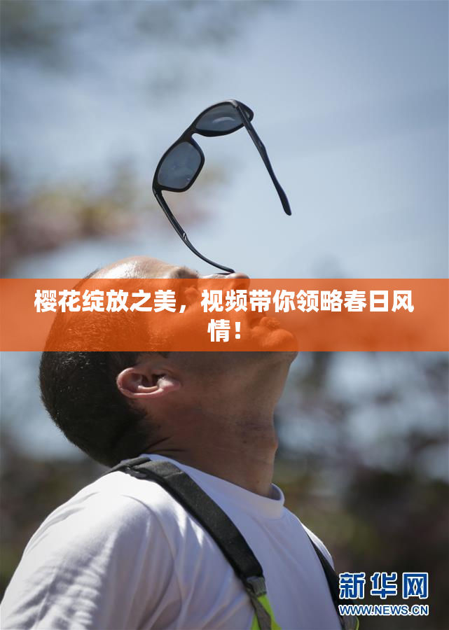 樱花绽放之美，视频带你领略春日风情！