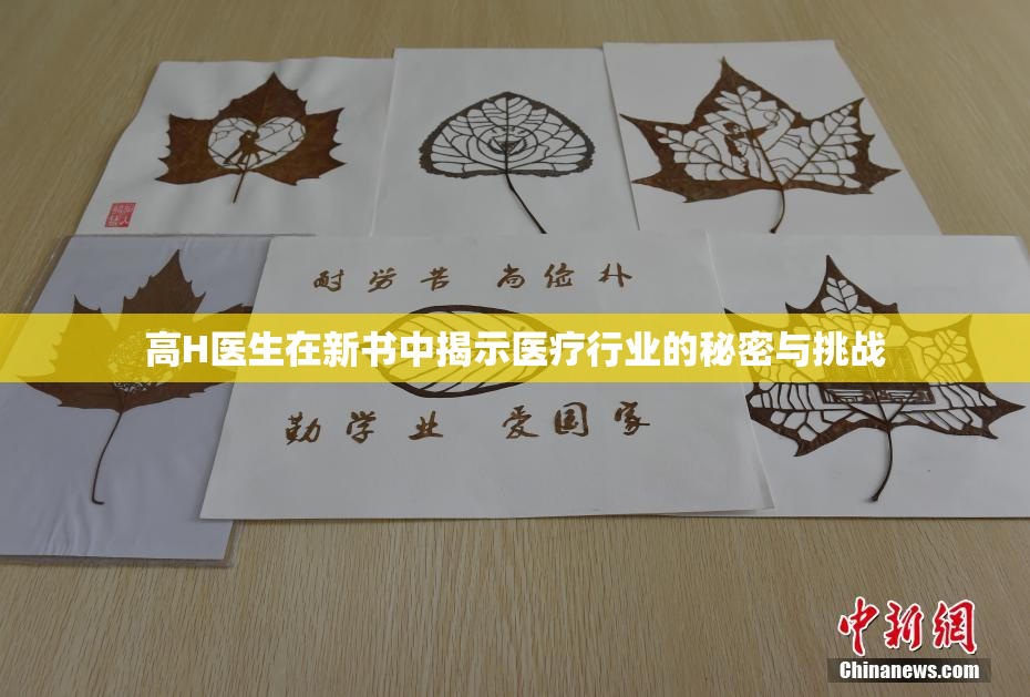 高H医生在新书中揭示医疗行业的秘密与挑战
