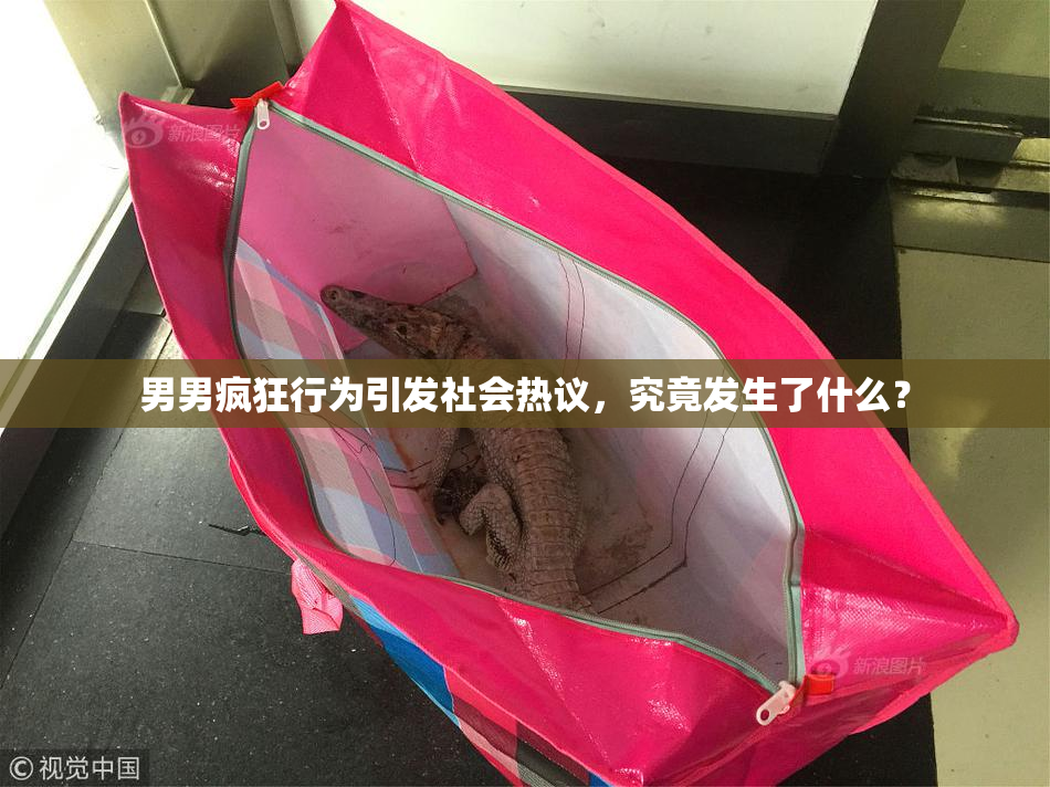 男男疯狂行为引发社会热议，究竟发生了什么？