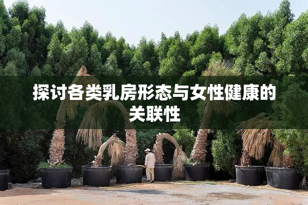 探讨各类乳房形态与女性健康的关联性