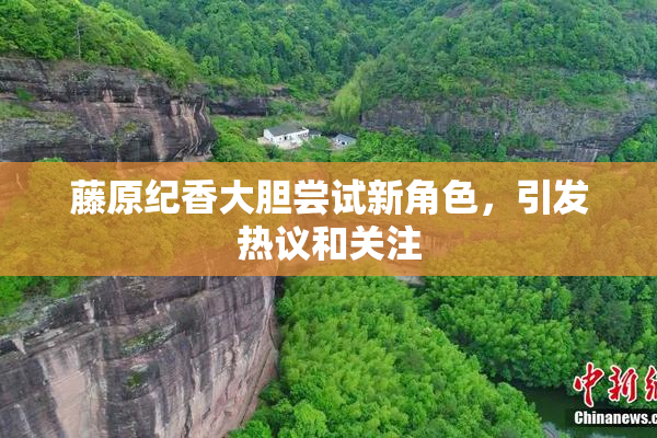 藤原纪香大胆尝试新角色，引发热议和关注
