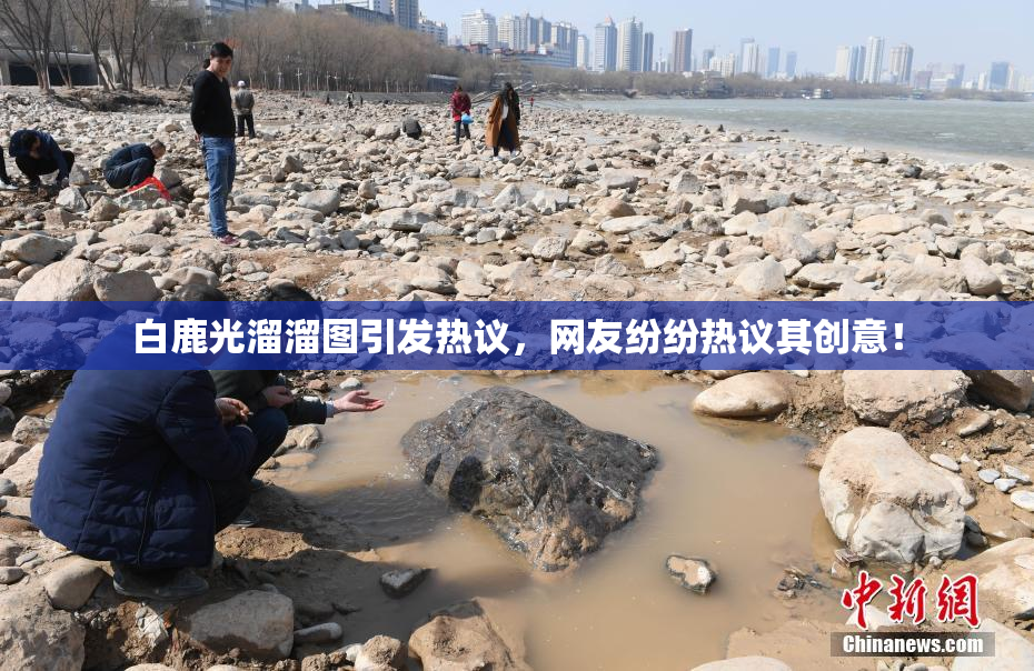 白鹿光溜溜图引发热议，网友纷纷热议其创意！