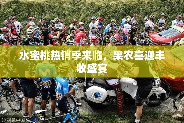 水蜜桃热销季来临，果农喜迎丰收盛宴