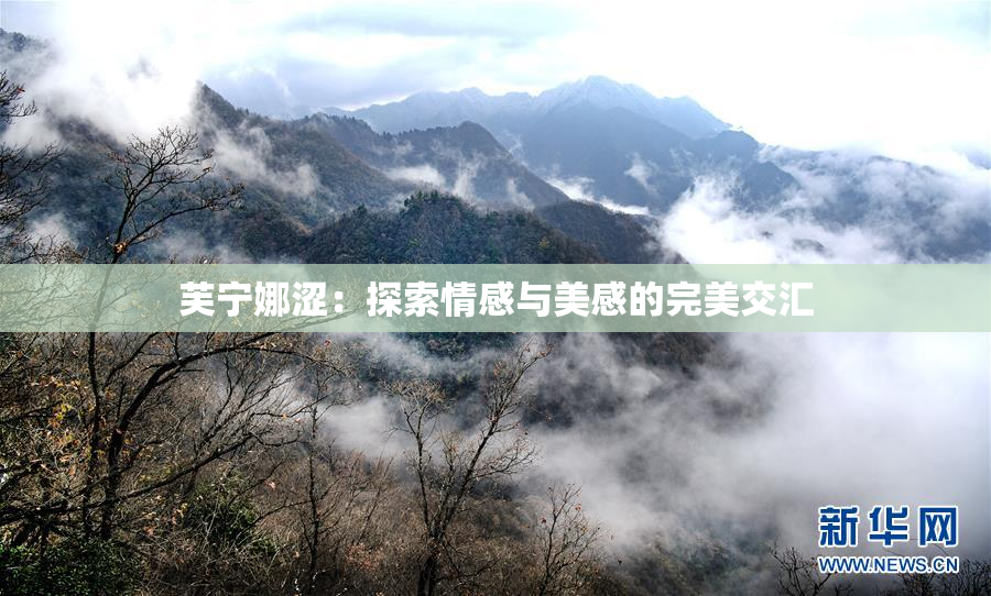 芙宁娜涩：探索情感与美感的完美交汇
