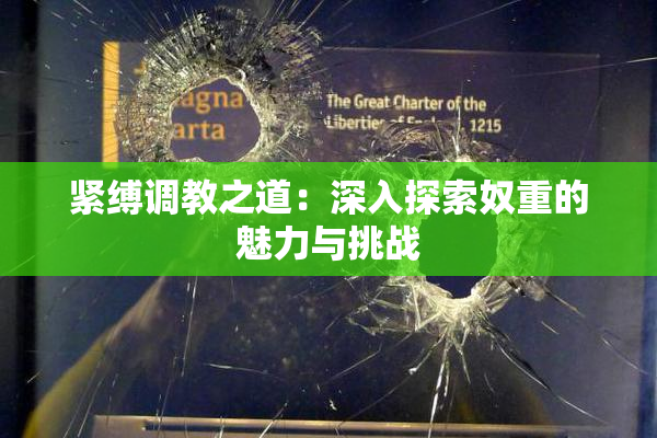 紧缚调教之道：深入探索奴重的魅力与挑战