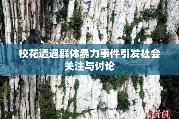 校花遭遇群体暴力事件引发社会关注与讨论