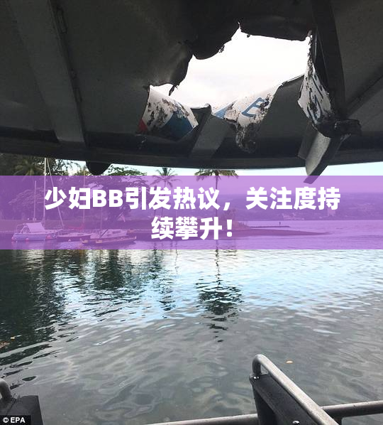 少妇BB引发热议，关注度持续攀升！