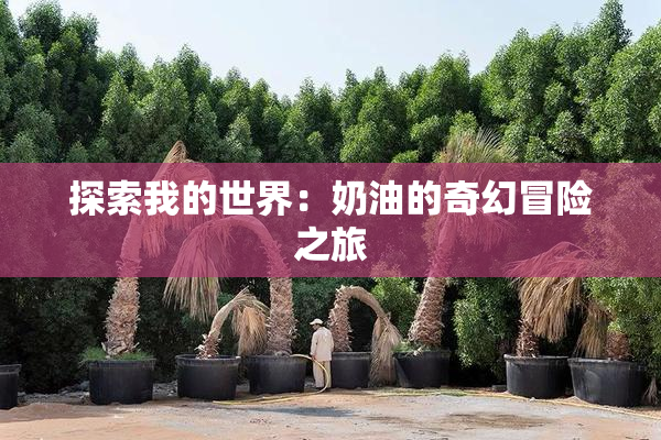 探索我的世界：奶油的奇幻冒险之旅