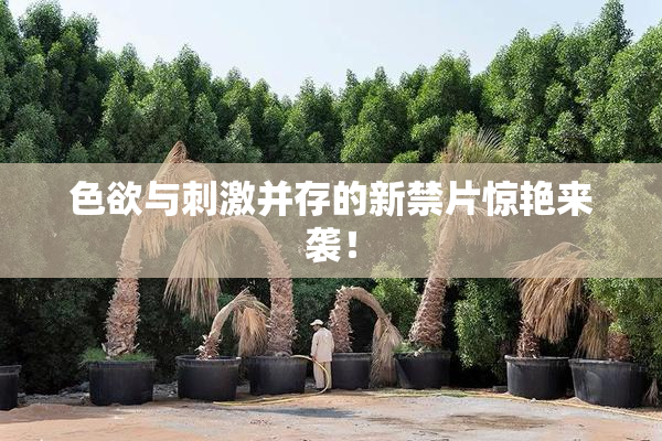 色欲与刺激并存的新禁片惊艳来袭！