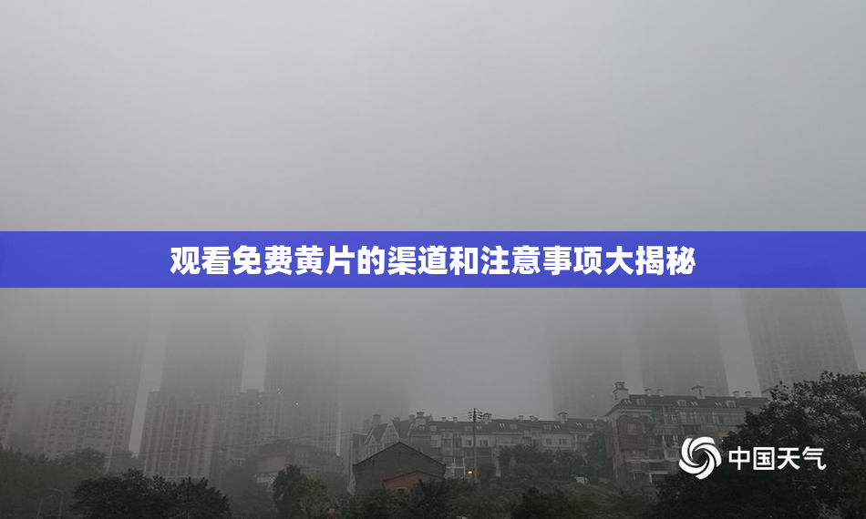观看免费黄片的渠道和注意事项大揭秘