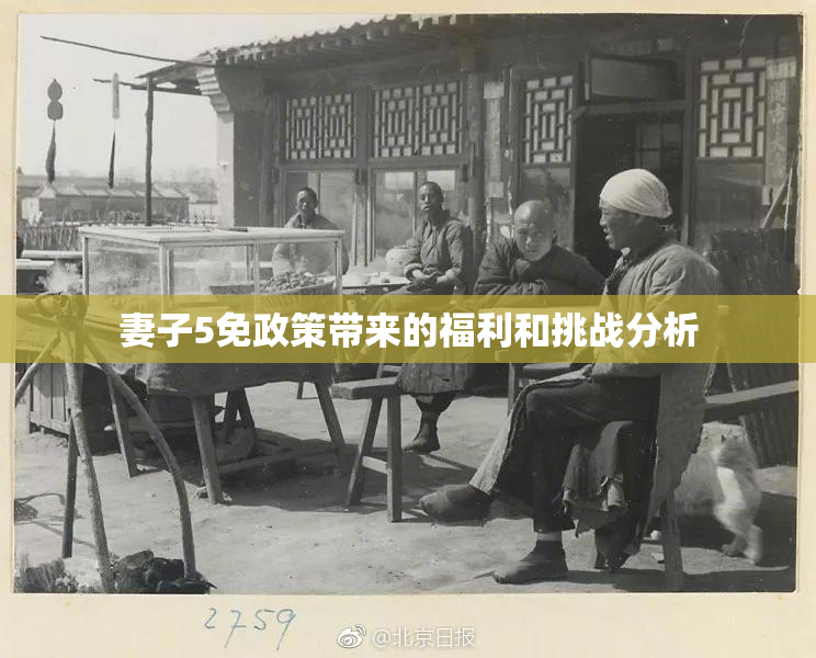 妻子5免政策带来的福利和挑战分析