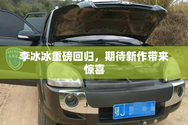 李冰冰重磅回归，期待新作带来惊喜