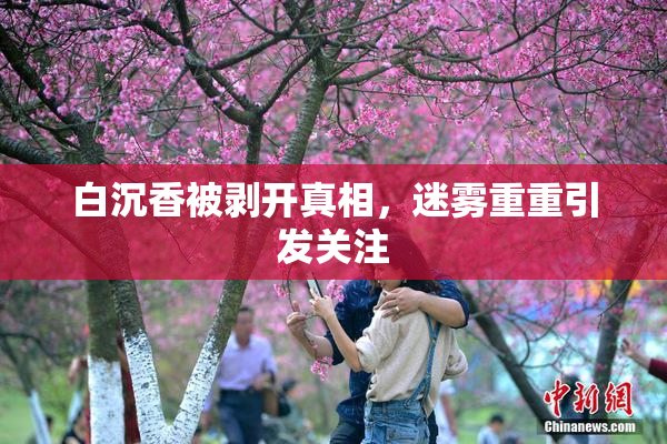 白沉香被剥开真相，迷雾重重引发关注