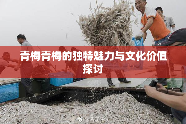 青梅青梅的独特魅力与文化价值探讨