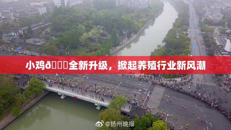 小鸡🐔全新升级，掀起养殖行业新风潮
