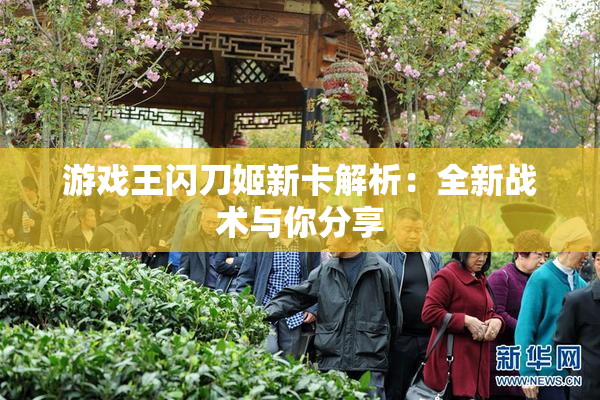 游戏王闪刀姬新卡解析：全新战术与你分享