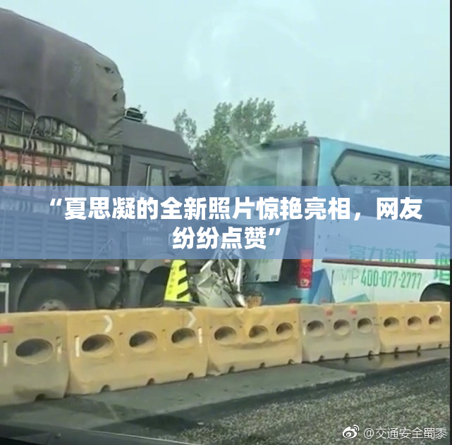 “夏思凝的全新照片惊艳亮相，网友纷纷点赞”