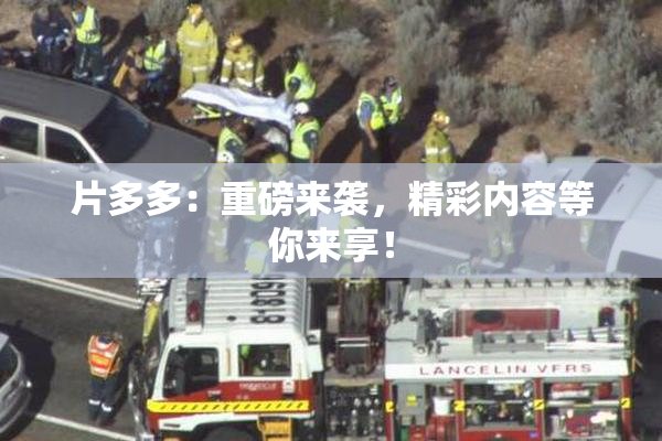 片多多：重磅来袭，精彩内容等你来享！