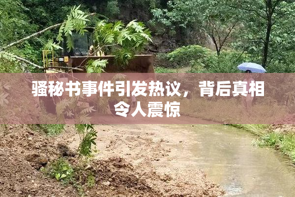 骚秘书事件引发热议，背后真相令人震惊