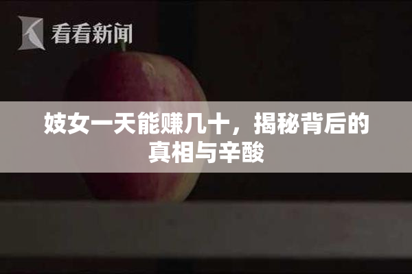 妓女一天能赚几十，揭秘背后的真相与辛酸