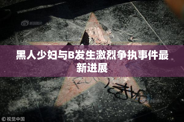 黑人少妇与B发生激烈争执事件最新进展