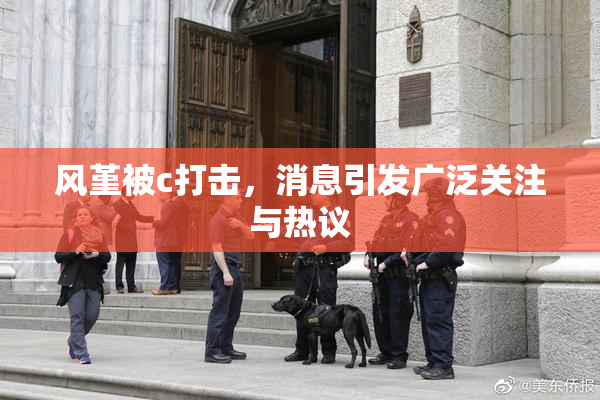 风堇被c打击，消息引发广泛关注与热议