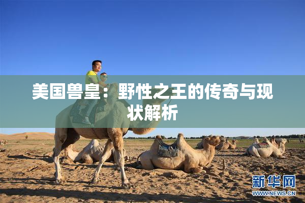 美国兽皇：野性之王的传奇与现状解析