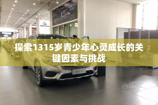 探索1315岁青少年心灵成长的关键因素与挑战