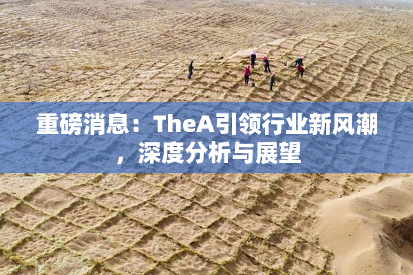重磅消息：TheA引领行业新风潮，深度分析与展望