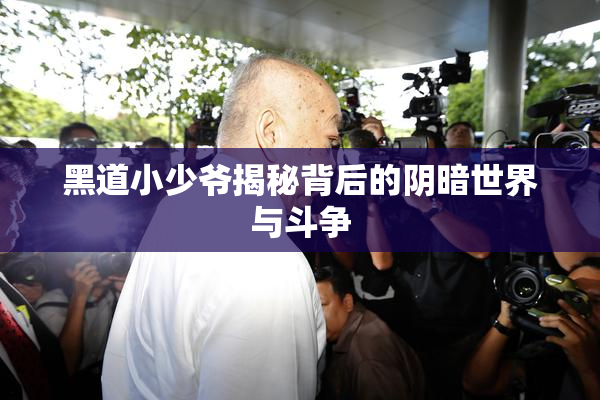 黑道小少爷揭秘背后的阴暗世界与斗争