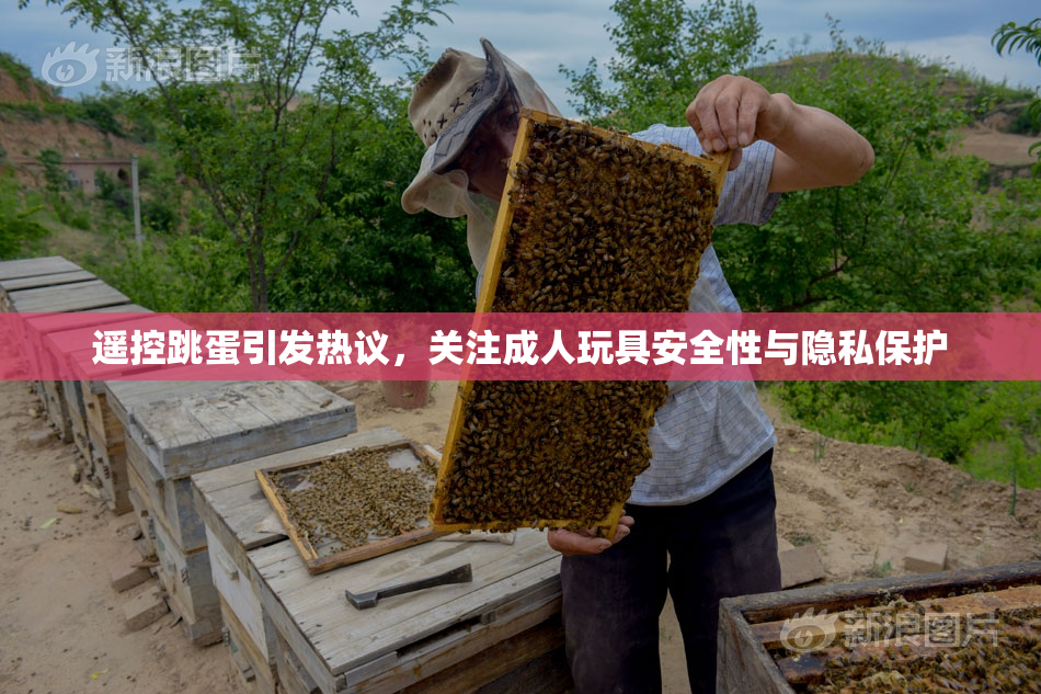 遥控跳蛋引发热议，关注成人玩具安全性与隐私保护
