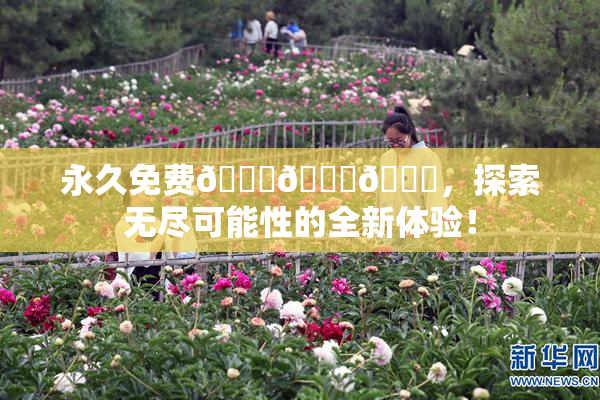 永久免费🔞🔞🔞，探索无尽可能性的全新体验！