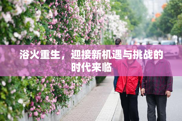 浴火重生，迎接新机遇与挑战的时代来临