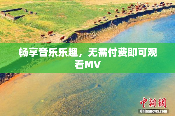 畅享音乐乐趣，无需付费即可观看MV