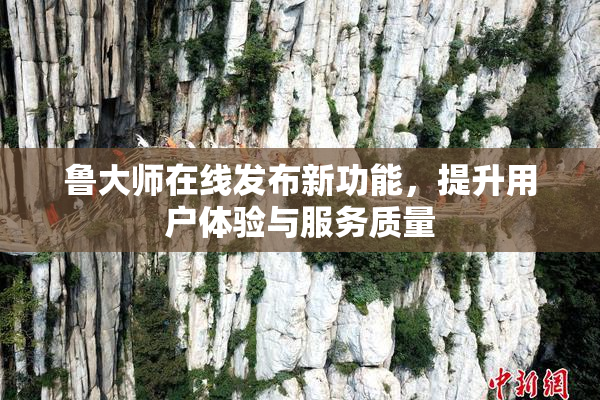 鲁大师在线发布新功能，提升用户体验与服务质量