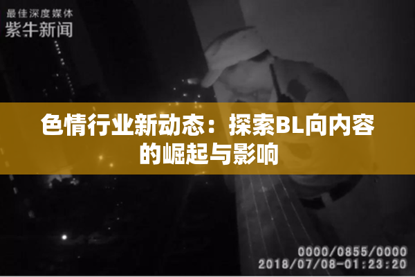 色情行业新动态：探索BL向内容的崛起与影响