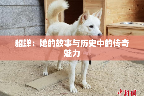 貂蝉：她的故事与历史中的传奇魅力