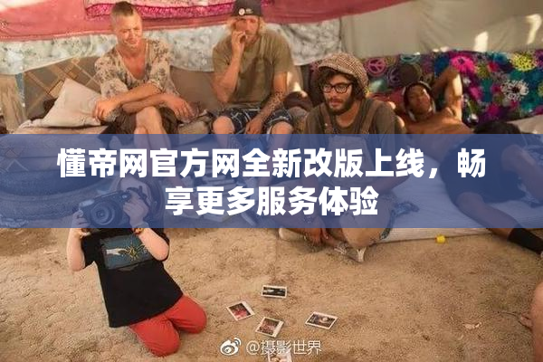 懂帝网官方网全新改版上线，畅享更多服务体验