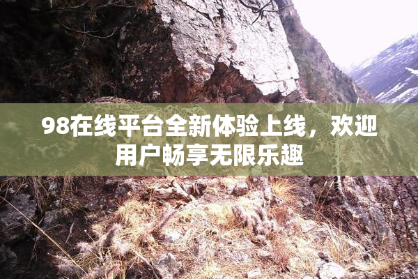 98在线平台全新体验上线，欢迎用户畅享无限乐趣