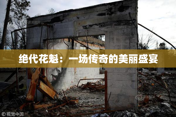 绝代花魁：一场传奇的美丽盛宴