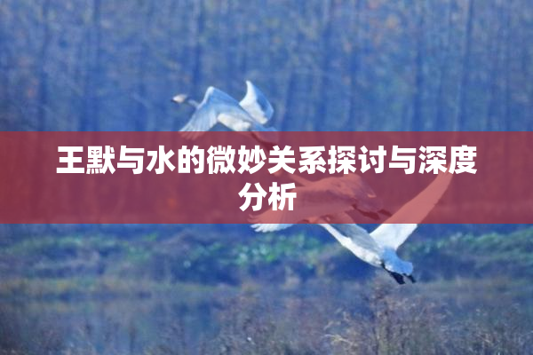 王默与水的微妙关系探讨与深度分析