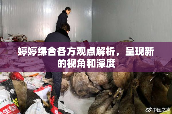 婷婷综合各方观点解析，呈现新的视角和深度