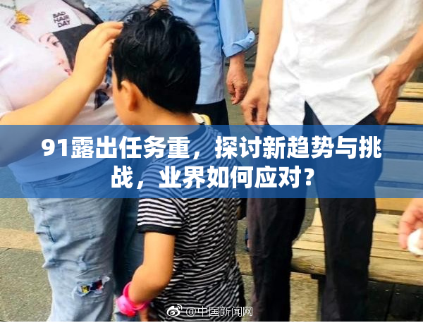 91露出任务重，探讨新趋势与挑战，业界如何应对？