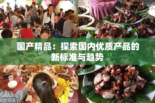 国产精品：探索国内优质产品的新标准与趋势