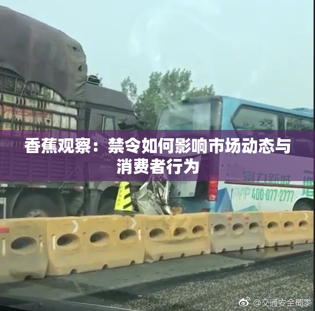 香蕉观察：禁令如何影响市场动态与消费者行为