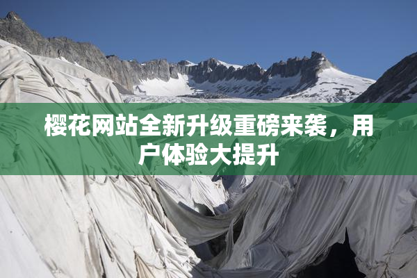 樱花网站全新升级重磅来袭，用户体验大提升