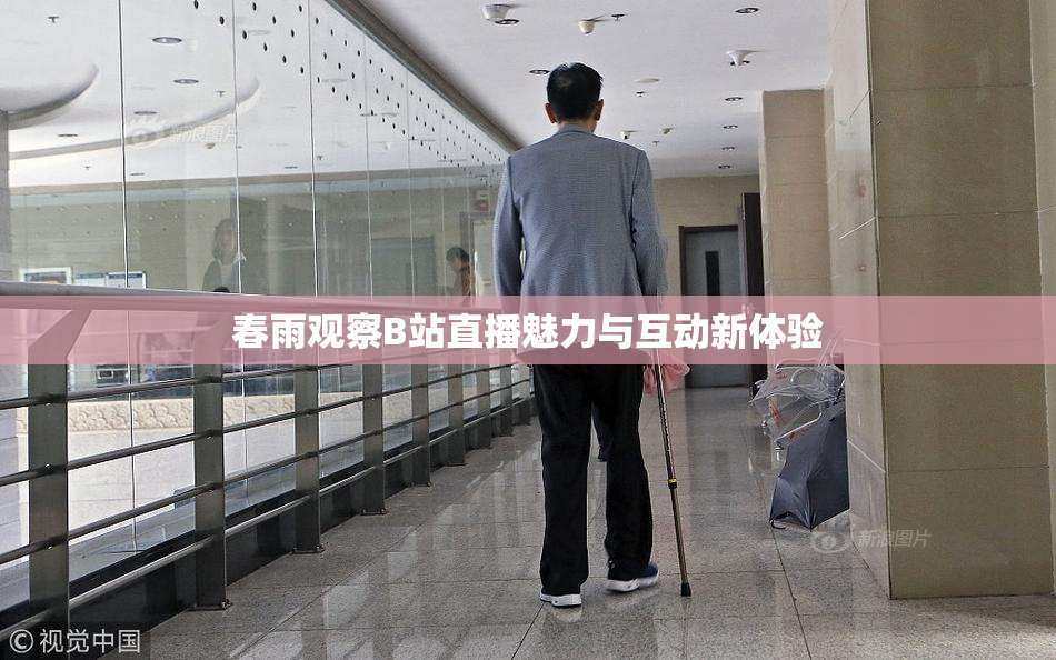 春雨观察B站直播魅力与互动新体验