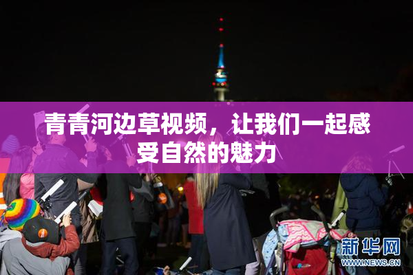 青青河边草视频，让我们一起感受自然的魅力
